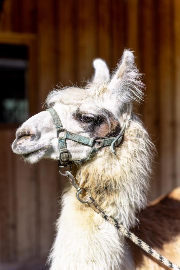 La Tresenda Hotel And Mountain Farm ليفينو المظهر الخارجي الصورة