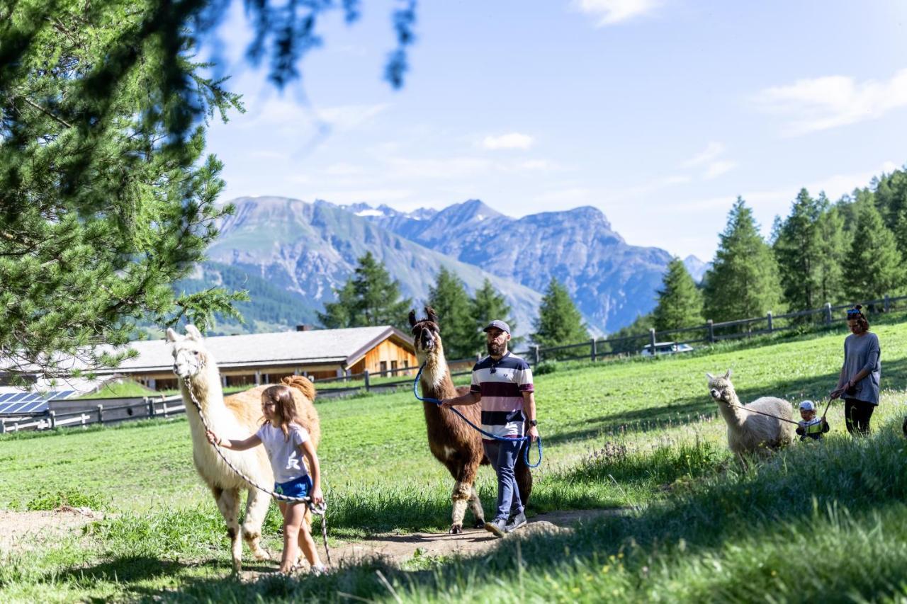La Tresenda Hotel And Mountain Farm ليفينو المظهر الخارجي الصورة