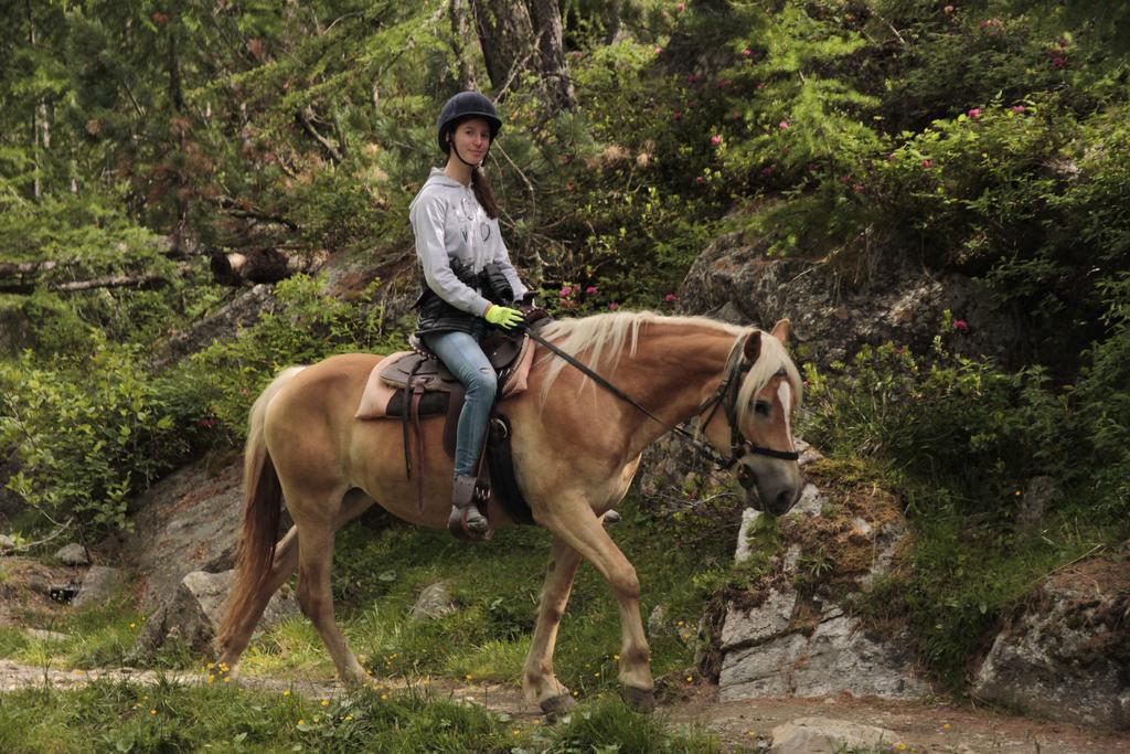 La Tresenda Hotel And Mountain Farm ليفينو المظهر الخارجي الصورة